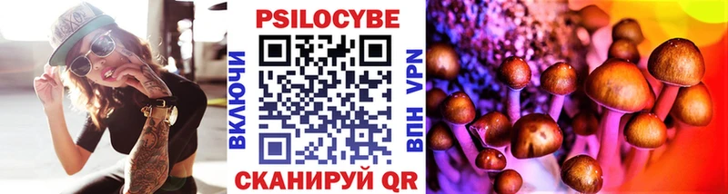 купить наркотики сайты  Калининец  Псилоцибиновые грибы GOLDEN TEACHER 