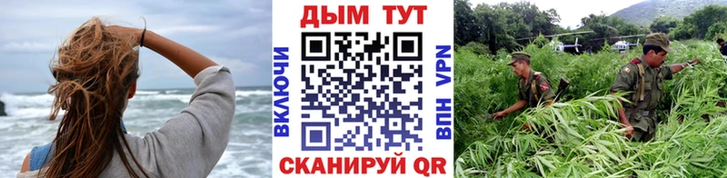 Бошки Шишки ГИДРОПОН купить наркоту mega сайт Калининец